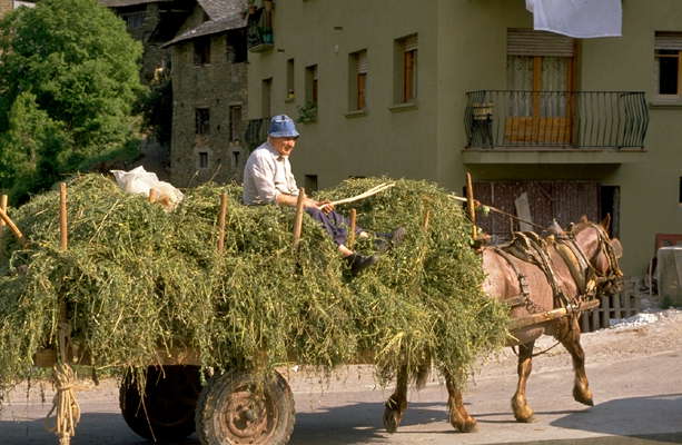 Пиренейский фермер.